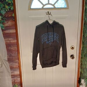 Harley-Davidson Men's Gray Hoodie with Blue Logo RL20